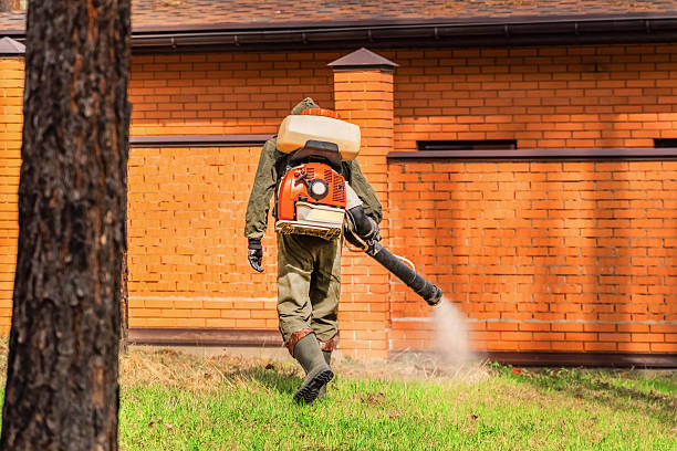 Trusted Rodent Control service in Port Allegany, PA - Nex Pest Control